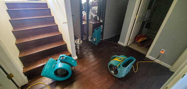 Trusted Needles, CA Water damage restoration Experts