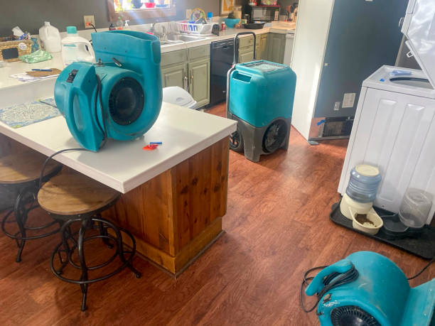 Best Professional water damage repair  in Needles, CA