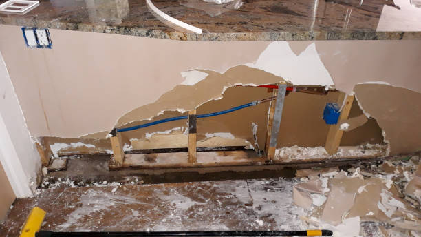 Best Professional water damage repair  in Needles, CA